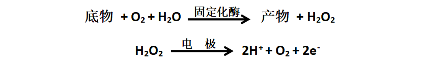 生物传感分析仪